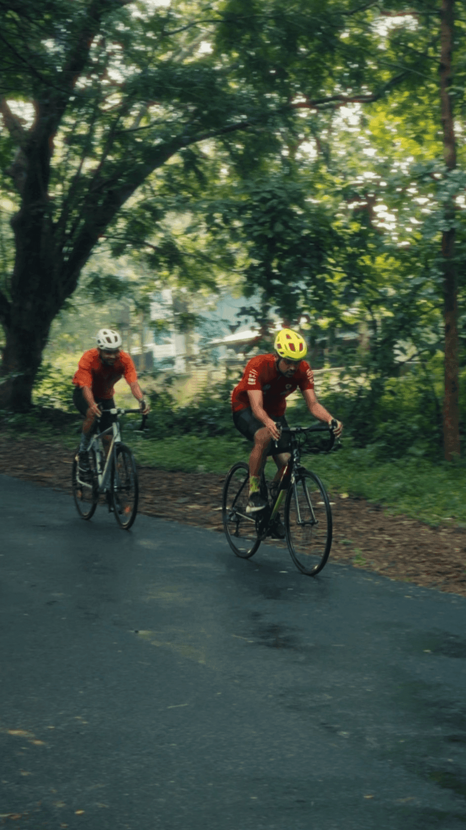 Athirappilly Falls Route – 80km moderate cycling route in Kerala