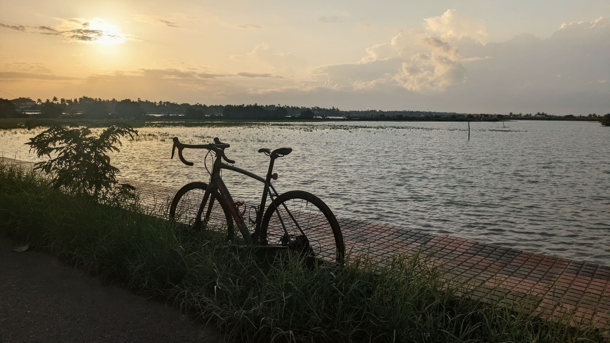 Kadamakkudy Island Loop – 35km easy cycling route in Kerala