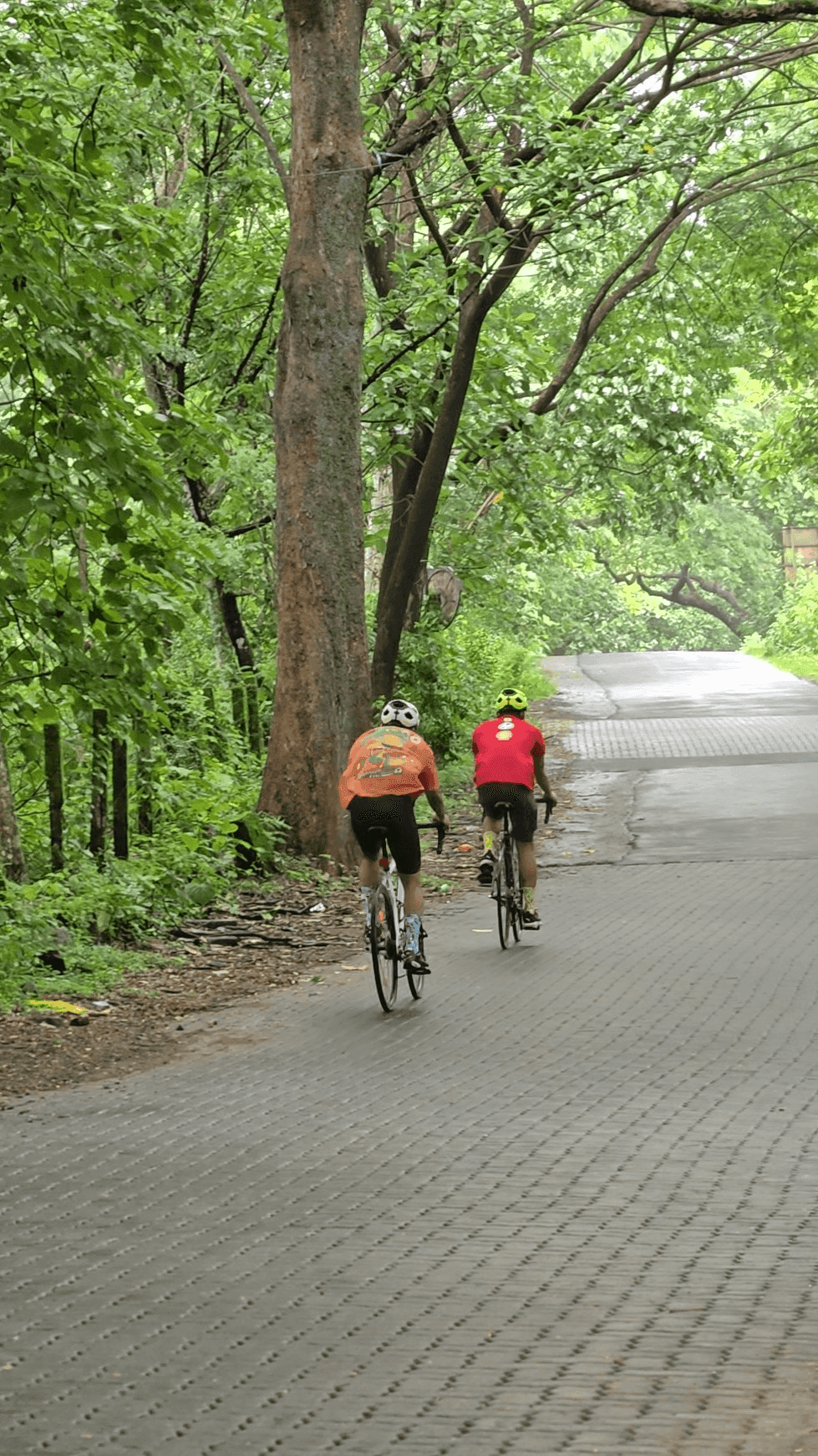 Athirappilly Falls Route – 80km moderate road cycling route view in Kerala image