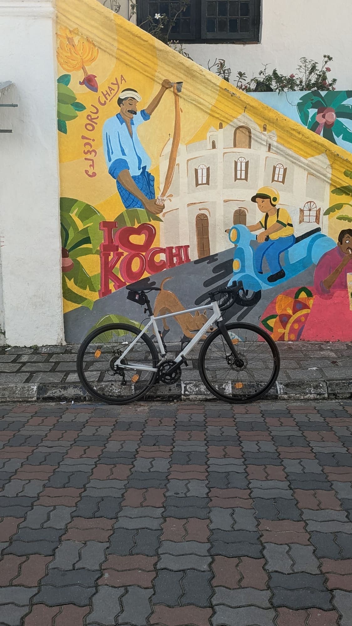 Kochi Backwater Loop – 50km moderate road cycling route view in Kerala image