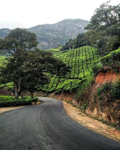 The Munnar Climb – 120km challenging road cycling route view in Kerala image